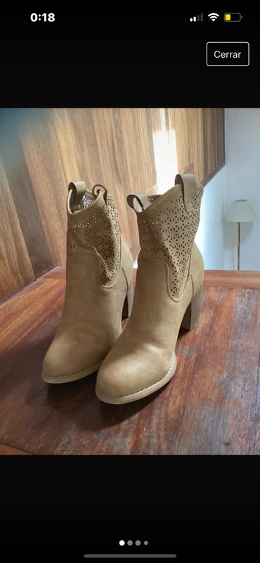 Botas Cowboy 1