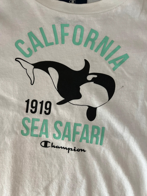 Camiseta Orca de Champion 2