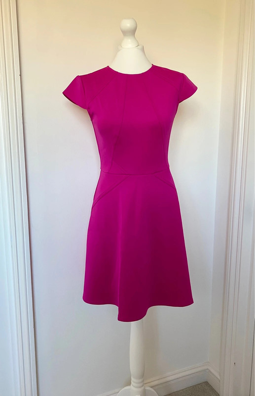 New Ted Baker Pink Dress Never Worn Size 2 UK 8 10 New Vinted