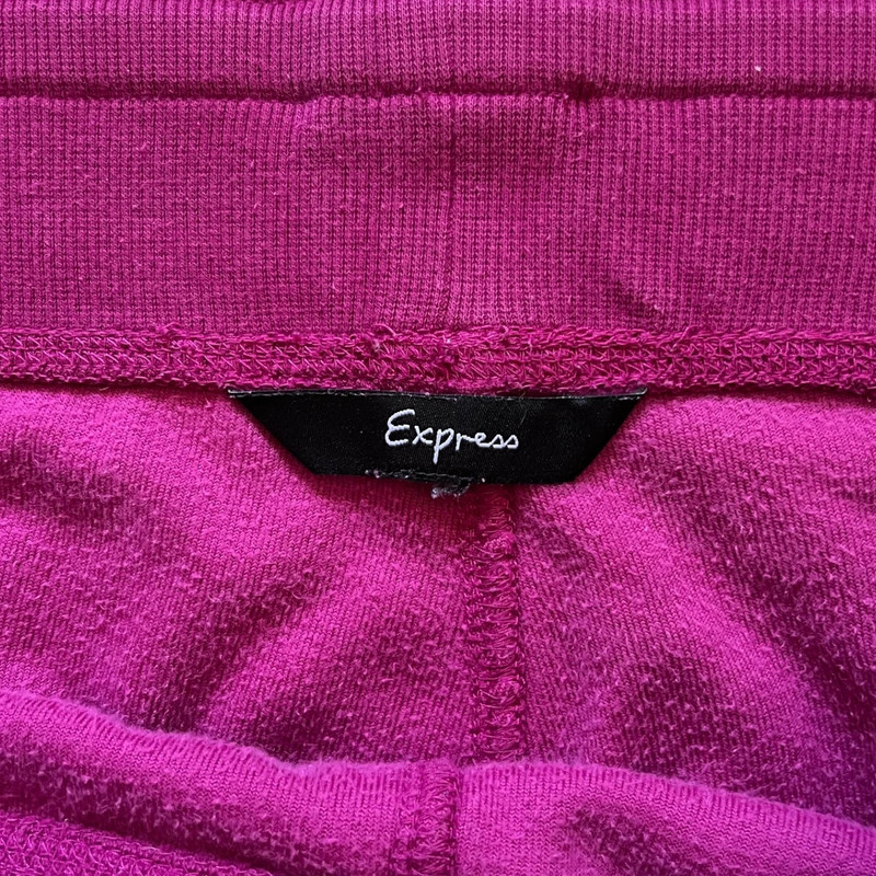 Express velour pant 2