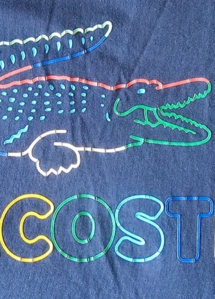 T-shirt Lacoste garçon 10 ans - bleu marine, logo coloré, merk: Lacoste, staat: Heel goed, maat: 10 jaar / 140 cm, € 15,00, € 16,45 inclusief Kopersbescherming