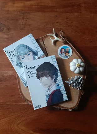 Tower of God - Tome 1 et 2, zustand: Sehr gut, 8,00 €, 9,10 € beinhaltet Vinted-Käuferschutz Pro