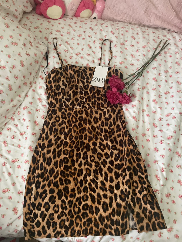 NWT Zara dress 1