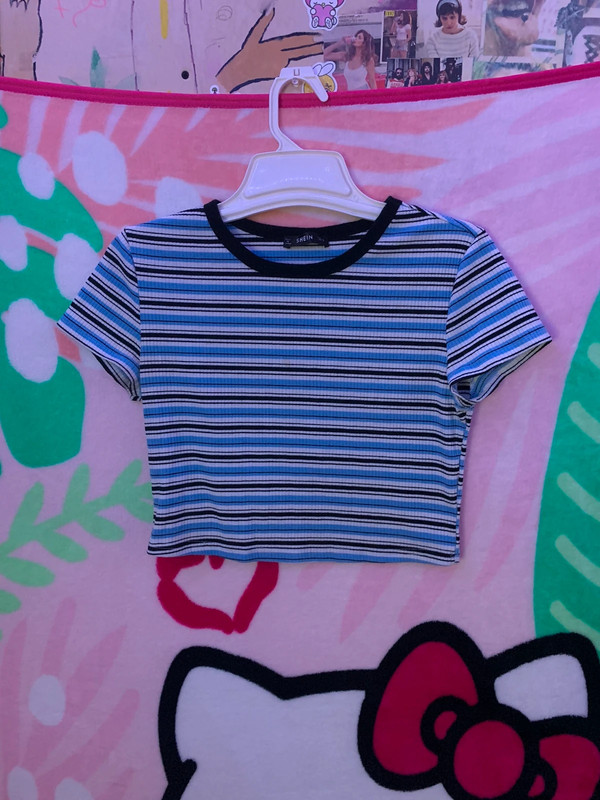 Blue striped crop top 1