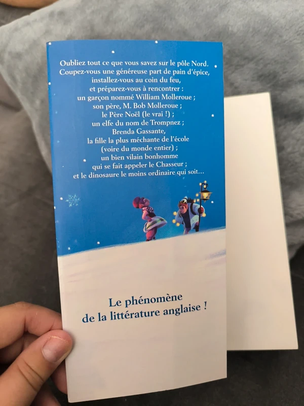 Livre le noëlosaure - photo numéro 6