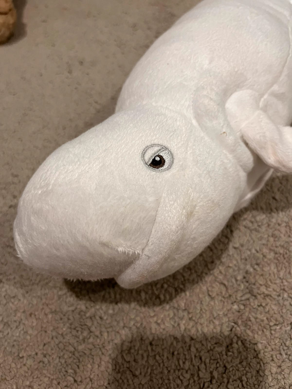 Finding dory hide and top seek toy