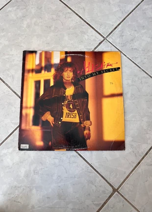 Vinyles Alysha Into My Secret, état: Bon état, 10,00 €, 11,20 € Protection acheteurs incluse