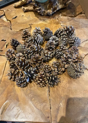 Pommes de pin naturelles - Idéal déco ou bricolage, état: Comme neuf, 3,50 €, 4,38 € Protection acheteurs incluse