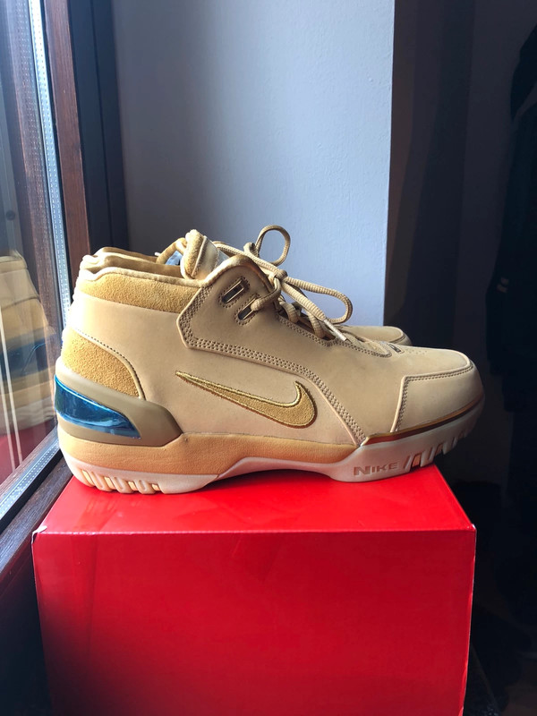 Nike Lebron Air zoom generation Vinted