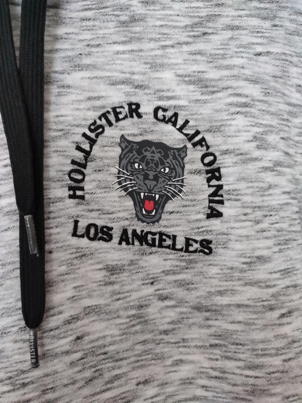 Sweat hollister 2