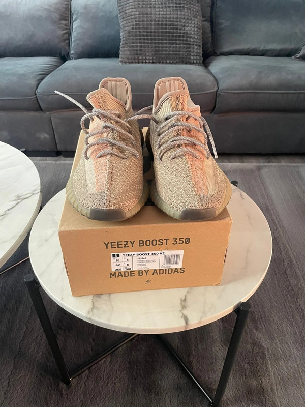 Adidas Yeezy Boost 350 V2 | Vinted