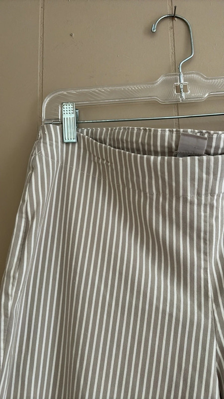 Chicos striped ankle pants 2