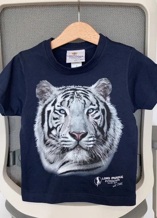 T-shirt Loro parque Tenerife 2/3 yr nieuw, état: Neuf sans étiquette, taille: 24-36 mois / 92 cm, 3,00 €, 3,85 € Protection acheteurs incluse