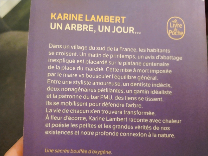 Roman "Un arbre, un jour" de Karine Lambert 4