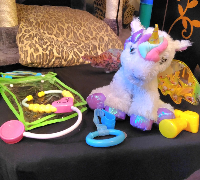 Talking Pegasus & Vet Toys 3