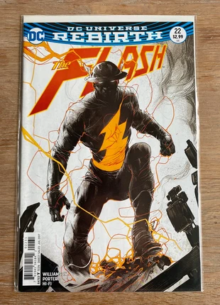 DC Universe Rebirth The Flash #22 porter variant, staat: Nieuw zonder prijskaartje, € 10,00, € 11,20 inclusief Kopersbescherming