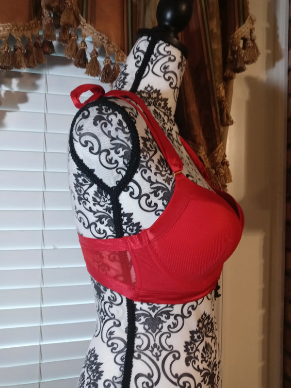 French affairs red bra 3