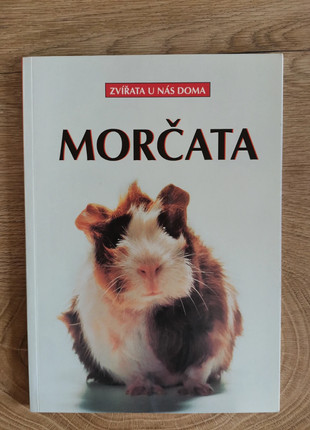 Obrázek k inzerátu: Morcata