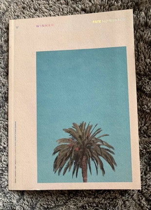 Album Winner Fate Number For, brand: POP, condition: Good, size: One size, €8.00, €9.10 includes Buyer Protection