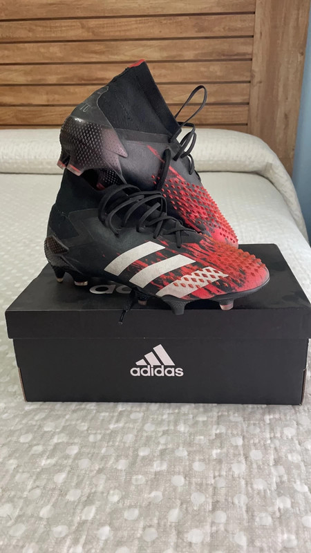 Predator gama alta shop