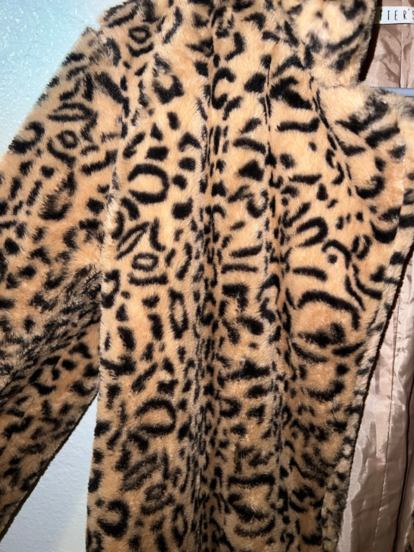 Faux Coat 2