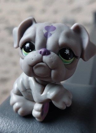 Pet shop chien bulldog, marque: Littlest Pet Shop, état: Très bon état, taille: Taille unique, 2,50 €, 3,33 € Protection acheteurs incluse
