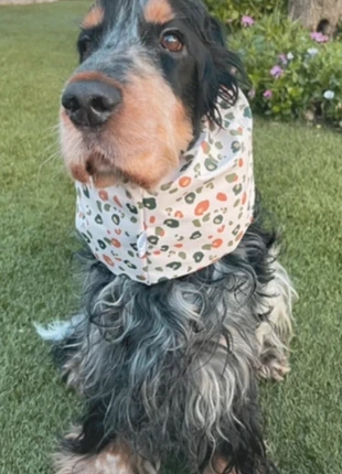 Snood imperméable ciré Cockers, condition: Very good, size: M, €13.00, €14.35 includes Buyer Protection Pro