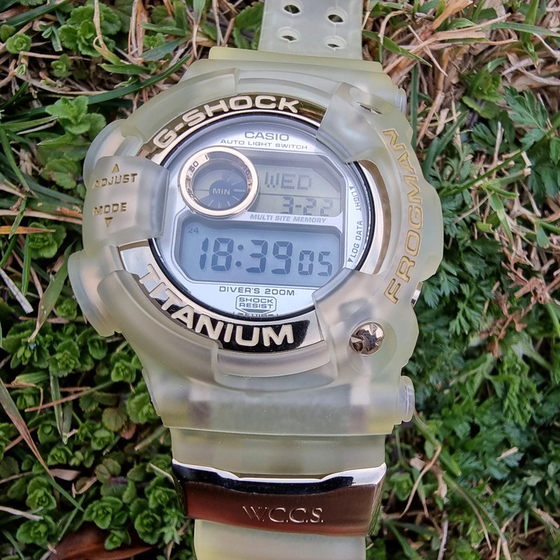 Casio G-shock Frogman DW-9901 WCCS | Vinted