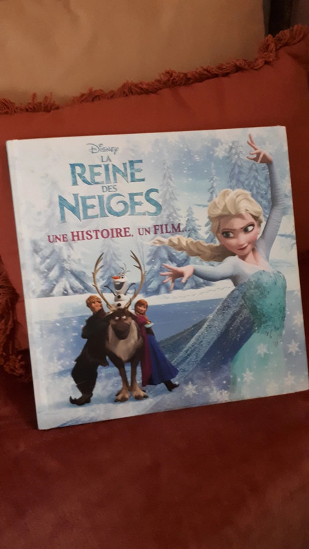 Livre La Reine Des Neiges Vinted