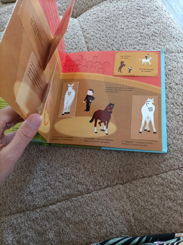 Livre Kididoc : Les chevaux et les poneys - photo numéro 15