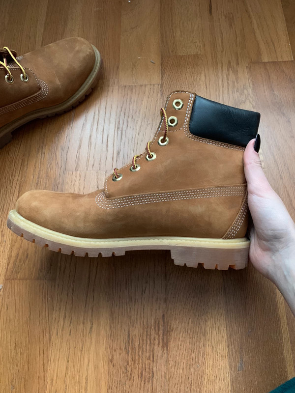 Timberland classique 2024