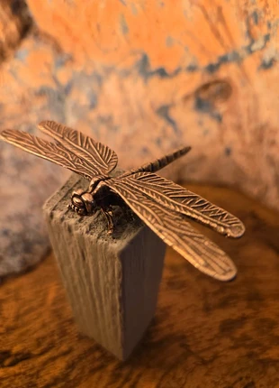 Libellule, condizioni: Nuovo senza cartellino, €10.90, €12.15 include la Protezione acquisti