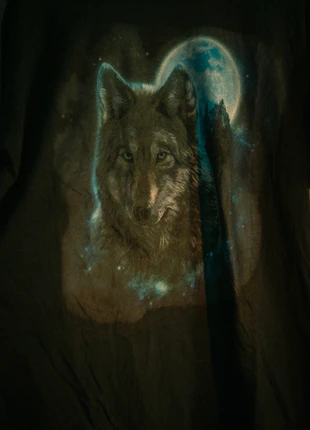 T-Shirt mit Wolf Vollmond Print, merk: Gildan, staat: Heel goed, maat: XL, € 15,00, € 16,45 inclusief Kopersbescherming