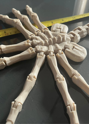 Facehugger Aliens XL, brand: Alien, condition: New without tags, £9.99, £11.19 includes Buyer Protection