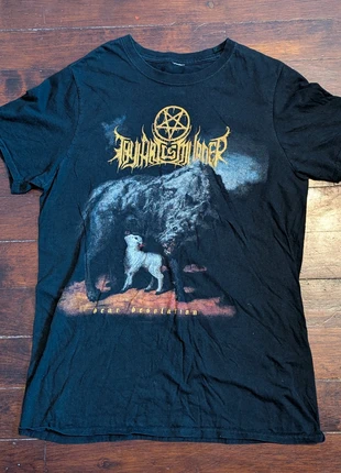 Thy Art Is Murder shirt, brand: Metal, condition: Very good, size: L, €15.00, €16.45 includes Buyer Protection