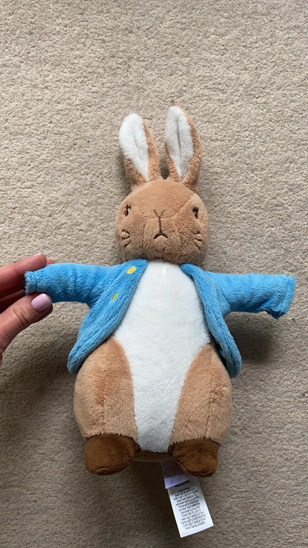 M&s peter sale rabbit teddy