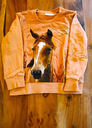 Pferden Pullover gr. 104, marke: Someone, zustand: Sehr gut, größe: 4 Jahre / 104, 2,00 €, 2,80 € inklusive Vinted-Käuferschutz