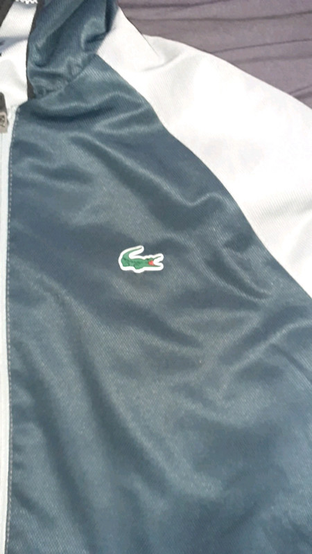 Gilet lacoste gris foncer bleu Vinted