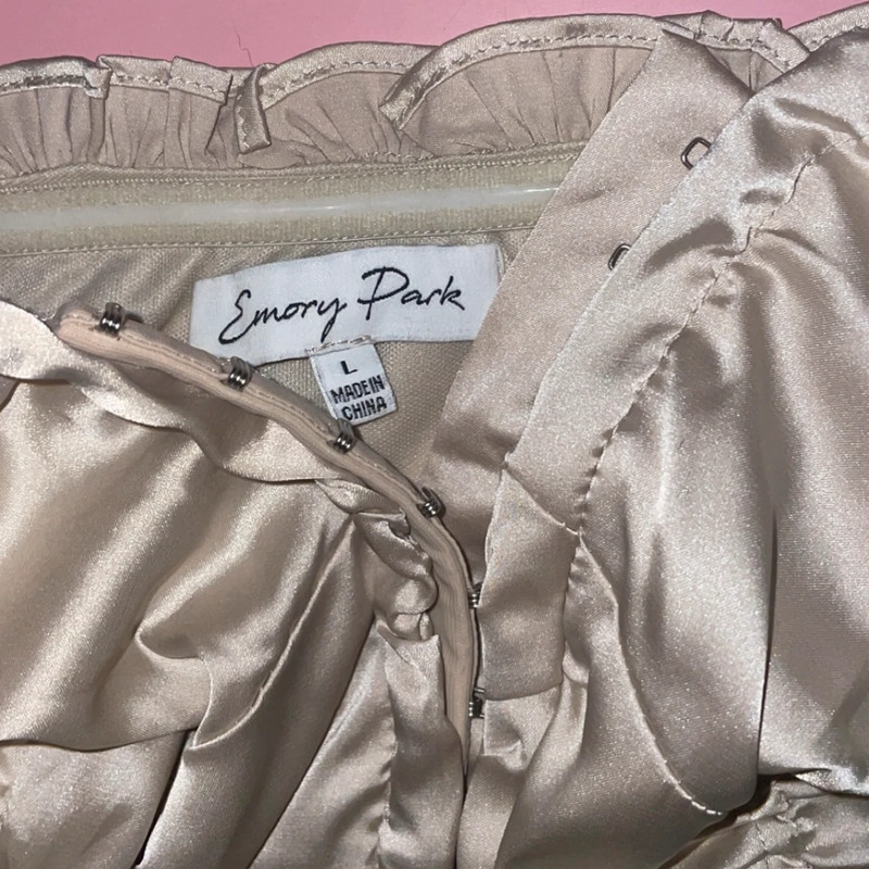 Emory Park Most Glowing Satin Crop Tube Top 3