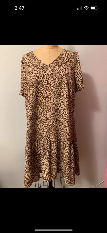 Leopard Print Dress 1