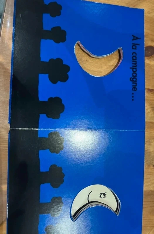 Livre Je suis la lune - photo numéro 4