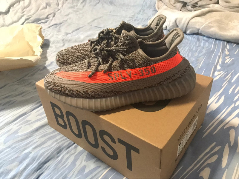 Yeezy Boost 350 V2 Adults Beluga Rf / Steeple Gray / Solar Red