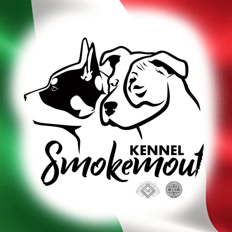 smokemout profile picture