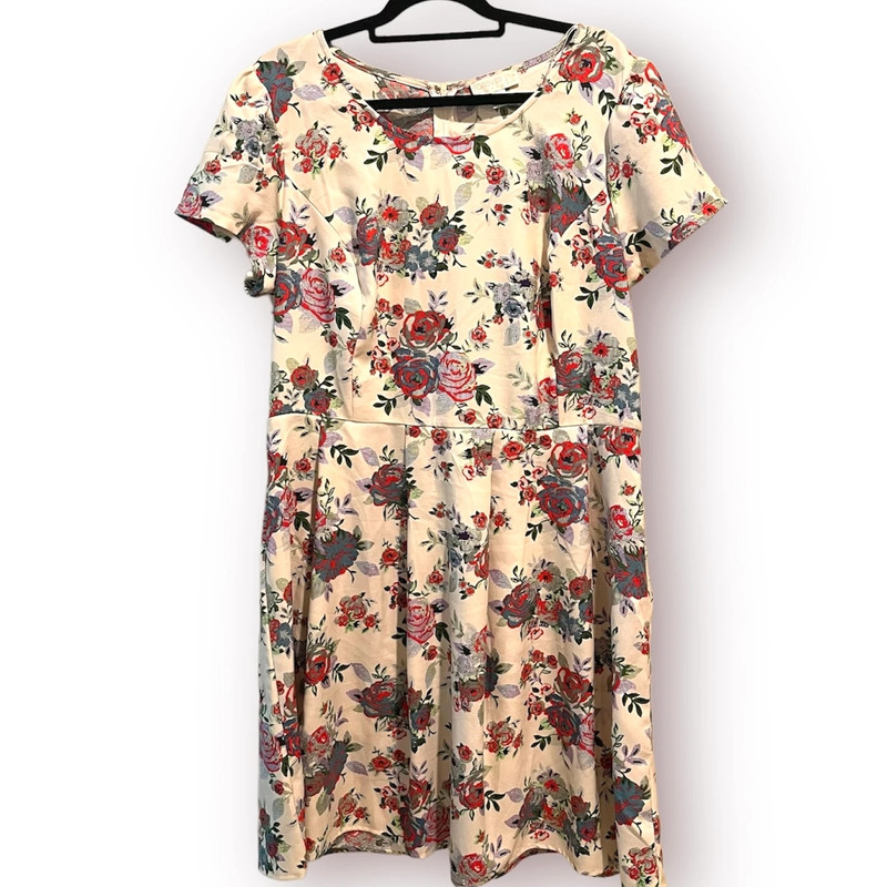 Forever 21 Plus Sizes 3X Cream Ivory Red Blue Green Floral Roses Dress 1