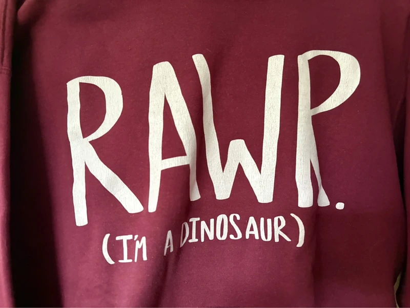 Pull femme - photo numéro 3