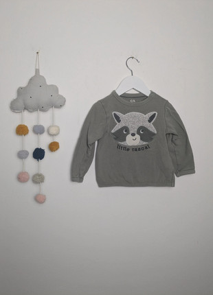 Baby & Kleinkind Sweater | Waschbär Motiv | C&A | 86 | Khaki, brand: C&A, condizioni: Ottime, taglia: 18-24 mesi / 86 cm, €1.80, €2.59 include la Protezione acquisti