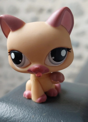 Pet shop chat, marque: Littlest Pet Shop, état: Bon état, taille: Taille unique, 2,00 €, 2,80 € Protection acheteurs incluse
