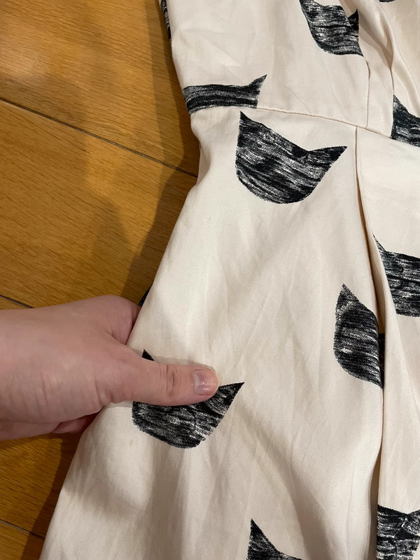 Anthropologie Cat dress Vinted