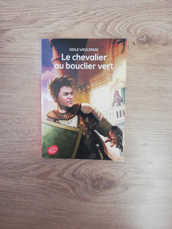 Le Chevalier au Bouclier vert (1) : Présentation et situation