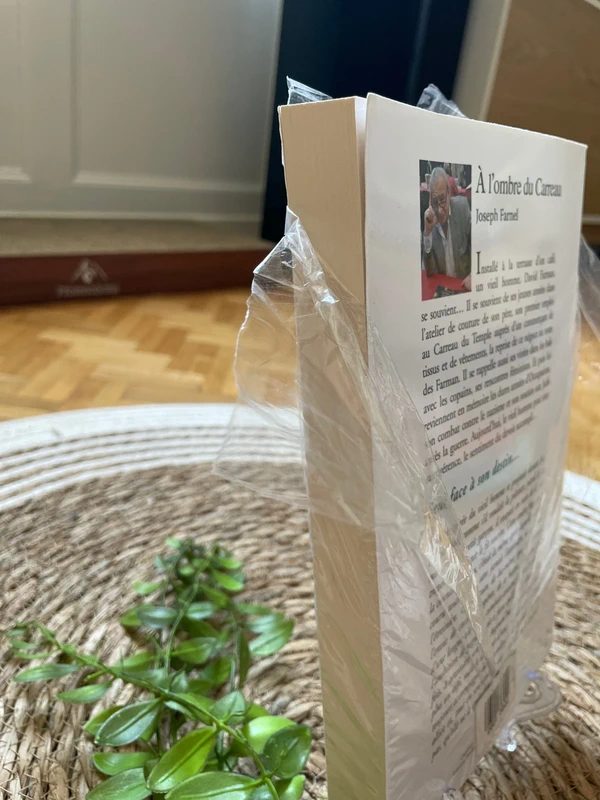 Livre - à l’ombre du carreau - photo numéro 4